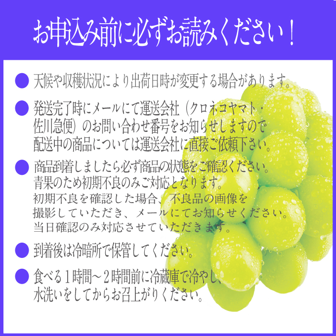 2026年予約受付中 シャインマスカット晴王2房 約1.2kg 7月～8月出荷 人気 岡山県産 種無し 皮ごと食べる みずみずしい フレッシュ 晴れの国 おかやま 果物大国 ハレノフルーツ