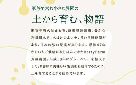 ブルーベリー大粒500g 朝摘みでお届け！【5年連続最高金賞受賞 群馬県ブルーベリー品評会2021~2025年】 大粒 化学農薬不使用 除草剤不使用 フルーツ 果物 F4H-0687