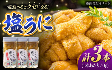 厄介うに ガンガゼの塩うに 70g×3本 / ウニ 雲丹 塩漬 瓶詰 珍味 小分け おかず おつまみ 酒の肴 ご飯のお供 海産物 魚介 魚貝 海鮮丼 お取り寄せ 国産 日本 九州 長崎 五島列島 uni 塩漬 瓶詰 珍味 小分け おかず おつまみ 酒の肴 ご飯のお供 海産物 魚介 魚貝 海鮮丼 お取り寄せ 国産 日本 九州 長崎 五島列島 uni 塩漬 瓶詰 珍味 小分け おかず おつまみ 酒の肴 ご飯のお供 海産物 魚介 魚貝 海鮮丼 お取り寄せ 国産 日本 九州 長崎 五島列島 uni 五島市 / うた