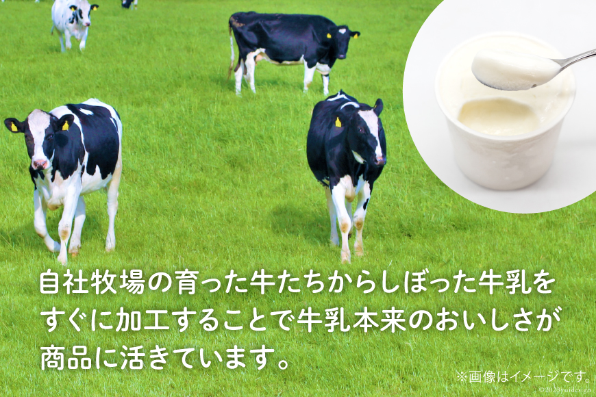 【牧場直送】 アイス 120ml ×5種 計5個 食べ比べ [岩瀬牧場 北海道 砂川市 12260519] ジェラート アイスクリーム スイーツ デザート スウィーツ おやつ_イメージ4
