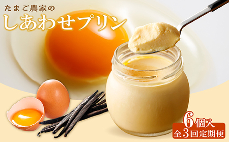 【定期便3ヶ月】たまご農家のしあわせプリン 6個セット デイリーファーム たまご 幸せ プリン 瓶入り デザート スイーツ おやつ 卵 鶏卵 ココテラス なめらかプリン 洋菓子 米卵 常滑牛乳 お菓子 ギフト プレゼント グルメ お取り寄せ 愛知県 常滑市 定期便