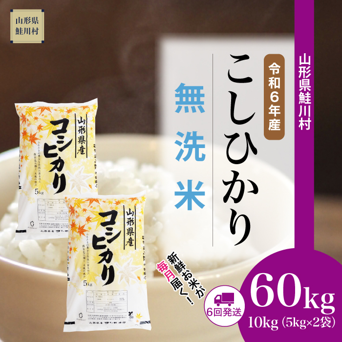 ＜令和6年産米 配送時期指定できます！＞　コシヒカリ【無洗米】60kg定期便(10kg×6回)　鮭川村