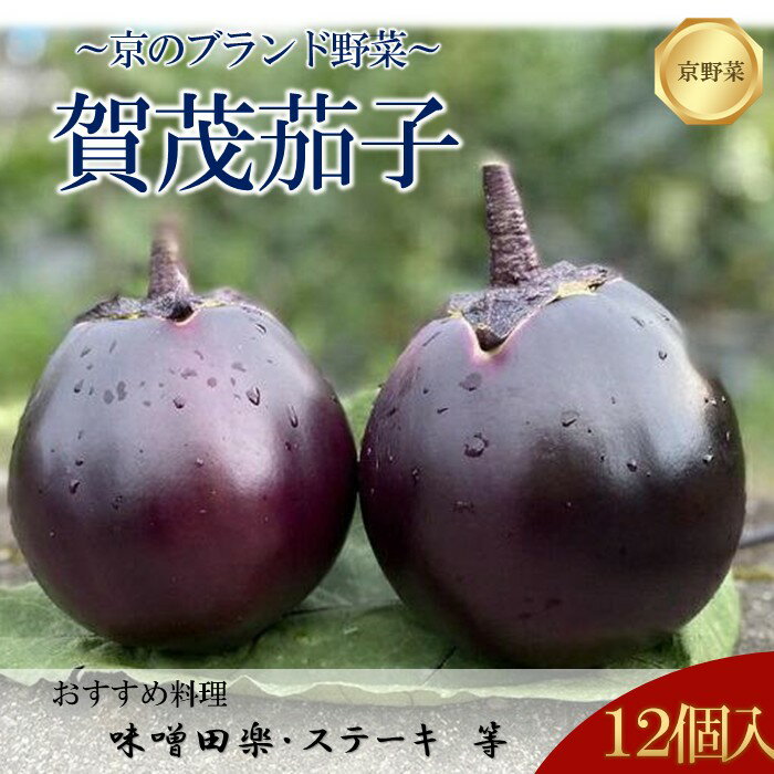【ふるさと納税】【先行予約特典付き・2026年7月発送】京ブランド野菜・賀茂茄子（かもなす）12個 約3kg| 京野菜 伝統野菜 数量限定 先行予約 先行受付 茄子 ナス なす 賀茂茄子 ステーキ 田楽 グラタン 旬 レシピ 高級 虹色Farm