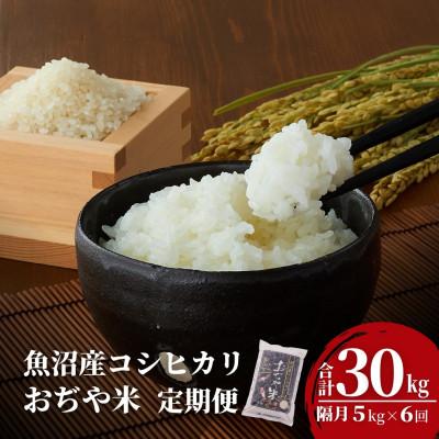 ふるさと納税 小千谷市 【発送月固定定期便】2025年11月発送開始予定 魚沼産コシヒカリ 精米5kg【JA魚沼】全6回