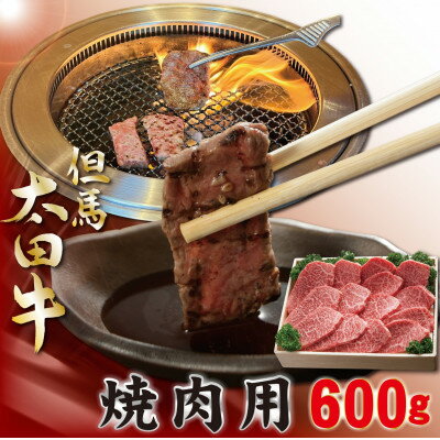 【ふるさと納税】但馬 太田牛 焼肉用 600g OY2【配送不可地域：離島】【1551655】
