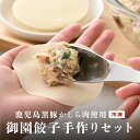 【ふるさと納税】鹿児島県黒豚かしら肉使用 御園餃子 冷凍　手作りセット (餡500g、皮25枚)×2個 ［A-08003］ / ぎょうざ ギョウザ ギョーザ 冷凍餃子 冷凍食品 通販 お取り寄せ お取り寄せグルメ 簡単 テレワーク 備蓄 中華 惣菜 業務用 大容量　おかず お弁当