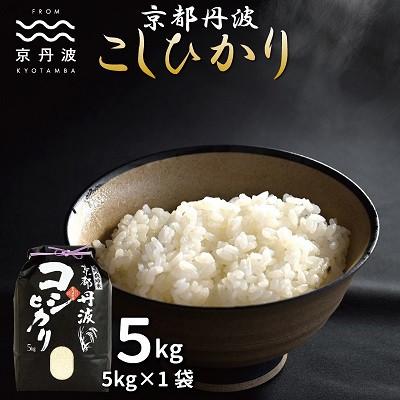 ふるさと納税 京丹波町 京丹波こしひかり 5kg 令和8年産 京都 精米 コシヒカリ