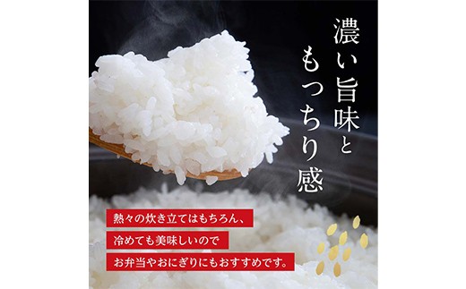 FK7-0271_【2カ月定期】【嘉島町産】くまさんの輝き 10kg 米 お米 コメ ごはん ご飯 食品 九州 熊本県 熊本 嘉島