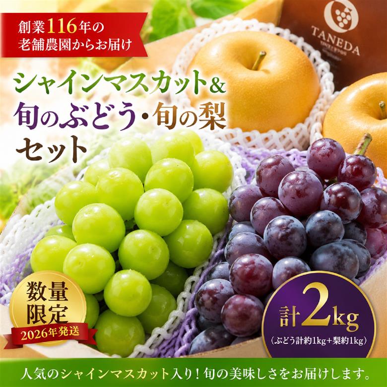 【創業116年の果樹園】シャインマスカット＆旬のぶどう・梨 計2kg（フルーツ 果物 くだもの シャインマスカット ブドウ  2026 贈答用 プレゼント 限定）