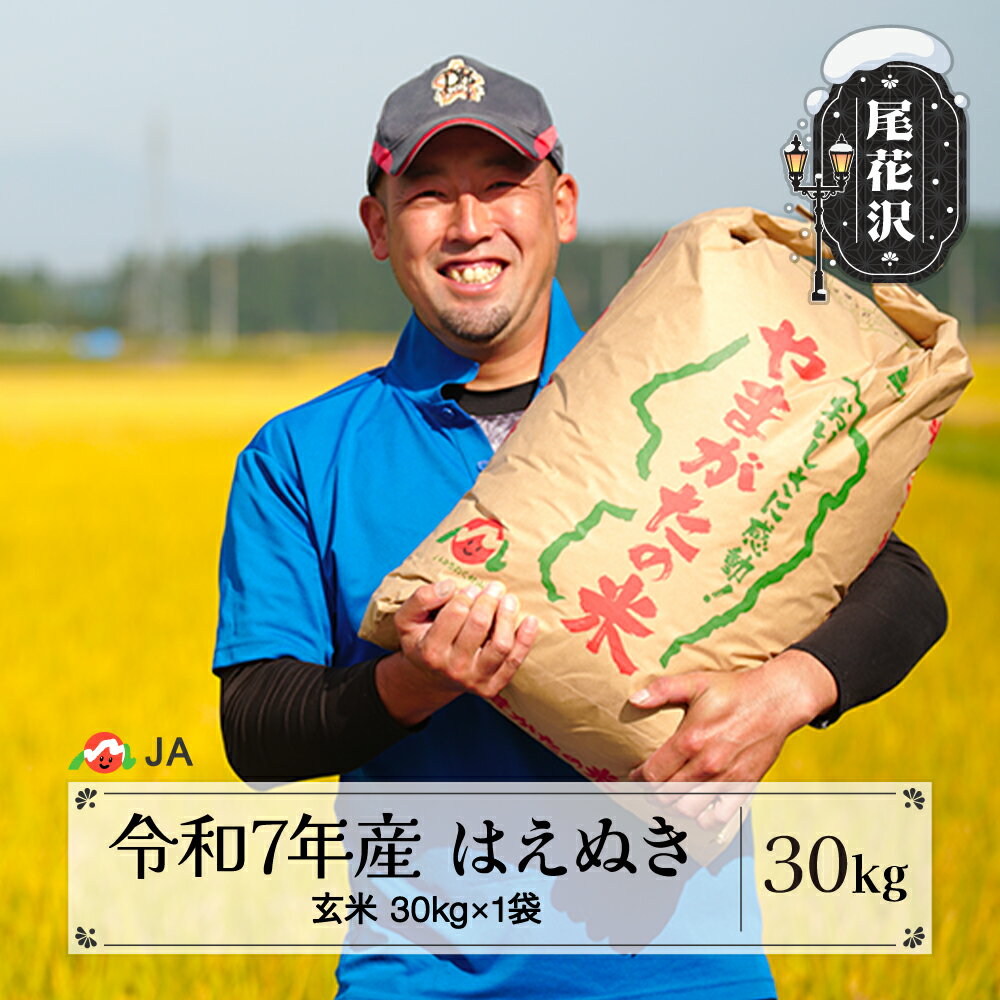 【ふるさと納税】令和7年産 新米 玄米 はえぬき 30kg 選べる配送時期 11月上旬~12月下旬発送 2025年産 米 お米 国産 山形県 尾花沢市 送料無料 ja-hagxa30※着日指定不可※沖縄・離島への配送不可