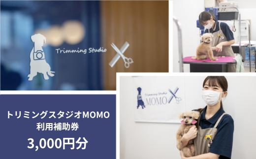 トリミング 写真撮影 利用補助券 3000円分 トリミングスタジオMOMO | ペット サロン カット トリミング トリマー チケット 犬 猫 ドッグ キャット ねこちゃん わんちゃん ワンちゃん 埼玉県 北本市