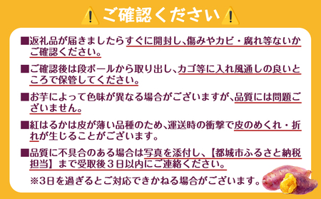 芋名人が認めるさつまいも『洗い済み　紅はるか』～Lサイズ17本入り～_LE-L702_(都城市) 宮崎県都城産 紅はるか Lサイズ(17本)