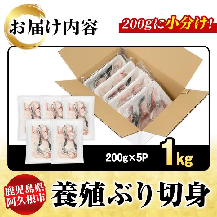 養殖ぶり切身(約1kg) 鹿児島県 阿久根市 ブリ ぶり 鰤 魚貝 魚介 海産物 切身 切り身 煮物 煮つけ 焼き魚 おかず おつまみ 小分け 【さるがく水産】akn028-44