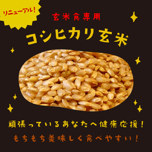 【パックご飯】 玄米 国産こしひかり 無添加一分づき 120g 計12個 パックご飯