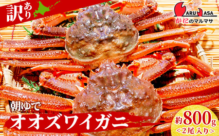 北海道産【 朝ゆで 】訳ありオオズワイガニ 800g詰 道産品 オオズワイ カニ 蟹 規格外品 不揃い 訳アリ 訳有り