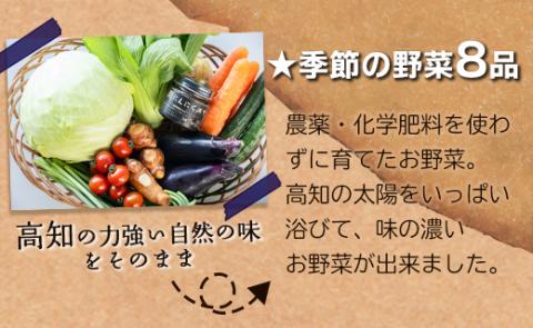 農薬不使用のお野菜8品と黒にんにく味噌のセット - やさい 8種類 ニンニク  みそ ミソ ご飯のお供 おかず 調味料 お任せ おたのしみ 旬 季節品 国産 特産品 高知県 香南市 pr-0012