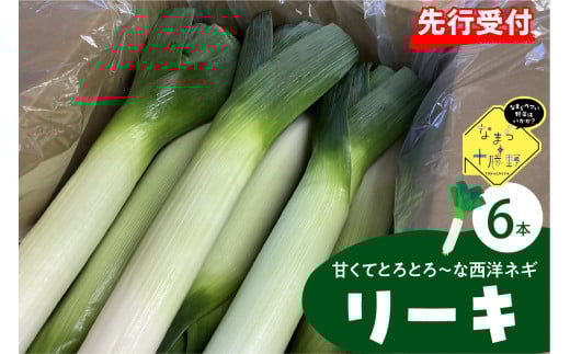 【先行受付】【2025年11月より発送】北海道十勝芽室町　なまら十勝野の鳥本農場リーキ 6本 me001-046c