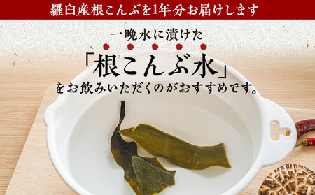 まいにち根こんぶ 1年分 生産者 支援 応援