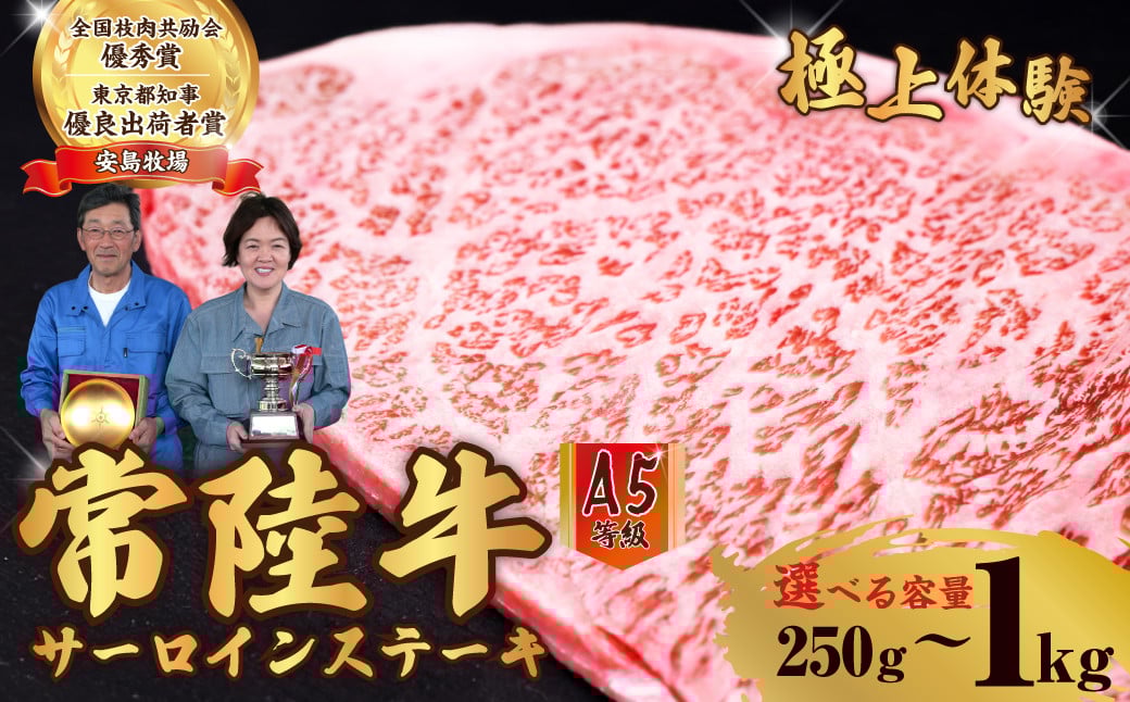 
            【選べる内容量】 常陸牛 A5ランク サーロインステーキ 250g 500g 1kg | 常陸牛 国産牛 A5ランク サーロインステーキ 和牛 BBQ バーベキュー 牛肉 ステーキ肉 肉ギフト お取り寄せ 焼肉 霜降り 選べる 茨城県 常陸太田市
          
