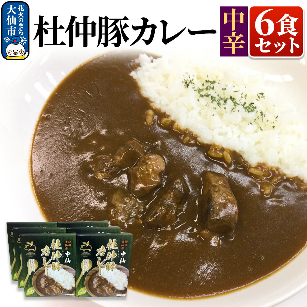 【ふるさと納税】杜仲豚カレー 中辛 6食セット【物産中仙】