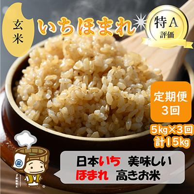 ふるさと納税 あわら市 【毎月定期便】いちほまれ 玄米 5kg全3回