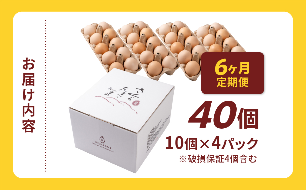 【定期便6ヶ月】40個 新鮮 特選 さくらたまご 定期便 6ヶ月 パック数 回数 6回 新鮮な卵 (発送当日・または前日に採れた卵) 安心 安全 対応 破損 割れ保障 保証付 安心対応 サポート 里山