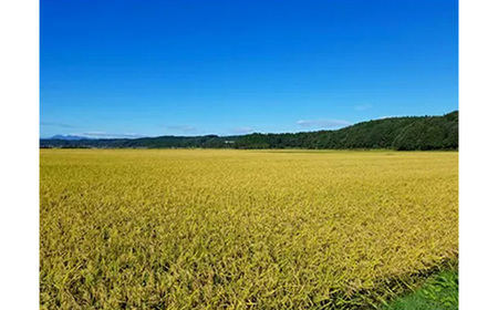 【令和6年産】青森県産まっしぐら10kg【配送不可地域：離島・沖縄県】【1017940】