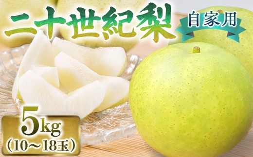 二十世紀梨【自家用】5kg（有梨の実　石田） 鳥取 梨 果物 フルーツ 和梨 二十世紀梨 20世紀梨 人気 甘い 進物 家庭用