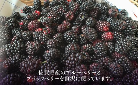 植物性100％ Vegan Raw Cake Double berry（ブルーベリー＆ブラックベリー／Lサイズ）☆お砂糖小麦粉☆乳製品不使用のスイーツ Dondonyokunaru [FCF033]