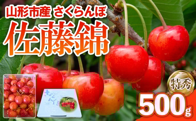
            さくらんぼ 佐藤錦 500g 特秀 【令和8年産先行予約】FS25-143
          