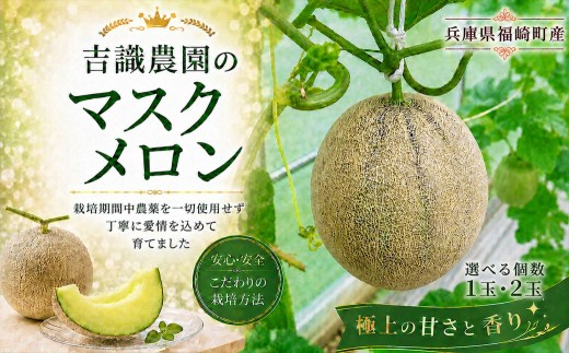 
                  マスクメロン「パノン」 農薬不使用栽培 贈答用 化粧箱入り ９月上旬まで発送
                