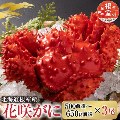 ふるさと納税 根室市 【北海道根室産】花咲かに500g前後〜650g前後×3尾 B-36002