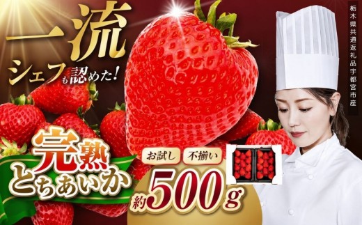 栃木県産 お試しとちあいか（サイズ不揃い） 約250g×2P 栃木県 矢板市