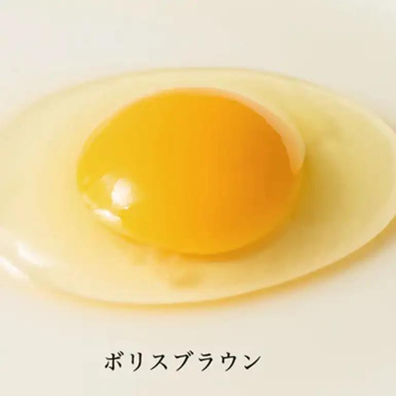 はっこう卵 ( 赤卵 ) MS~L サイズ 55個 +破卵保障5個 サイズ おまかせ 卵 たまご タマゴ 鶏卵 優良醗酵飼料 平飼い ゲージ おいしい 生卵 味卵 煮卵 目玉焼き ゆで卵 キッシュ 朝