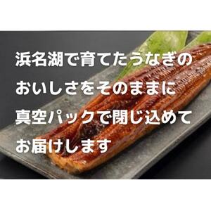 【浜名湖産】うなぎ蒲焼き(真空パック)×5本　タレ・山椒付・お吸い物付【配送不可地域：離島】【1398867】