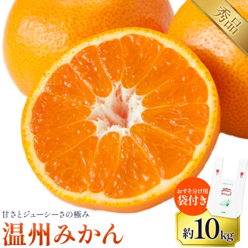温州みかん おすそ分け袋付き 約10kg 日本フルーツ株式会社 《10月中旬-2月中旬頃出荷》 熊本県 長洲町 果物 秀品 フルーツ スイーツ デザート ギフト おすそ分け