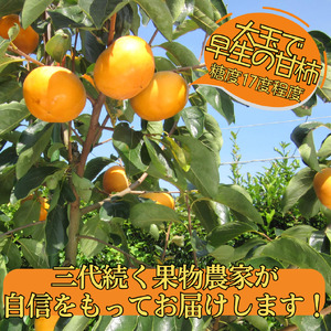 柿 訳あり ご家庭用 4kg 輝太郎 きたろう 鳥取県 オリジナル | 22M
