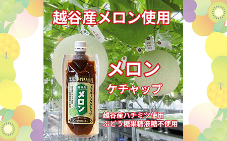 No.247 【フルーツケチャップ】苺、メロン、みかんの3種類セットレシピ付き