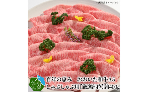 百年の恵み　おおいた和牛A5　しゃぶしゃぶ用【厳選部位】約400ｇ 牛肉 和牛 しゃぶしゃぶ 霜降り ロース 肩ロース もも 厳選部位 黒毛和牛 冷凍 A01101