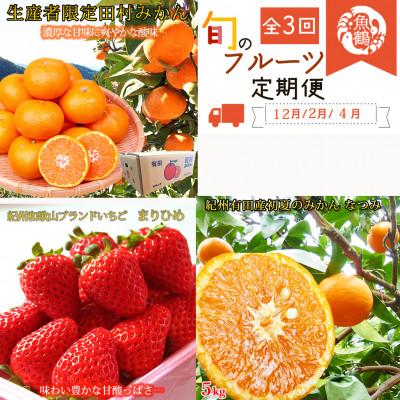 ふるさと納税 由良町 【発送月固定定期便】紀州和歌山産旬のフルーツセット(田村みかん・いちご・なつみ)全3回
