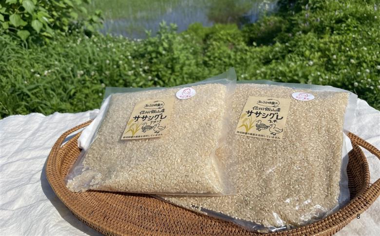 【令和7年産】幻のお米 ササシグレ ７分つき 4.75kg 《 栽培期間中 農薬・化学肥料不使用 》やよい農園  (7-90) 5分つき4.75kg