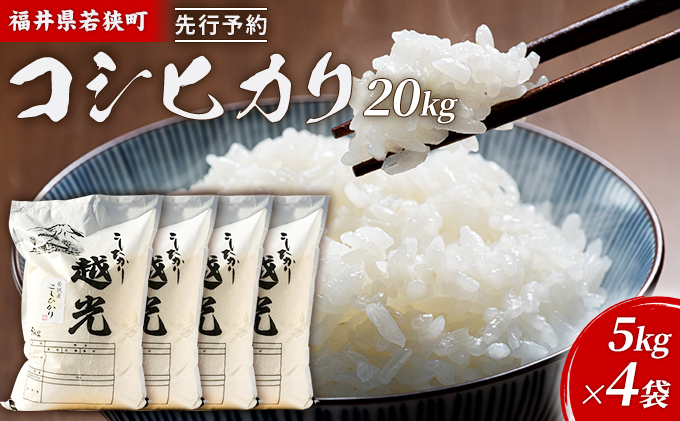 令和7年産 福井県若狭町 コシヒカリ （一等米） 20kg（神谷農園） 5kg×4袋 お米 ブランド米 銘柄米 ご飯 おにぎり お弁当 産地直送 和食 主食 