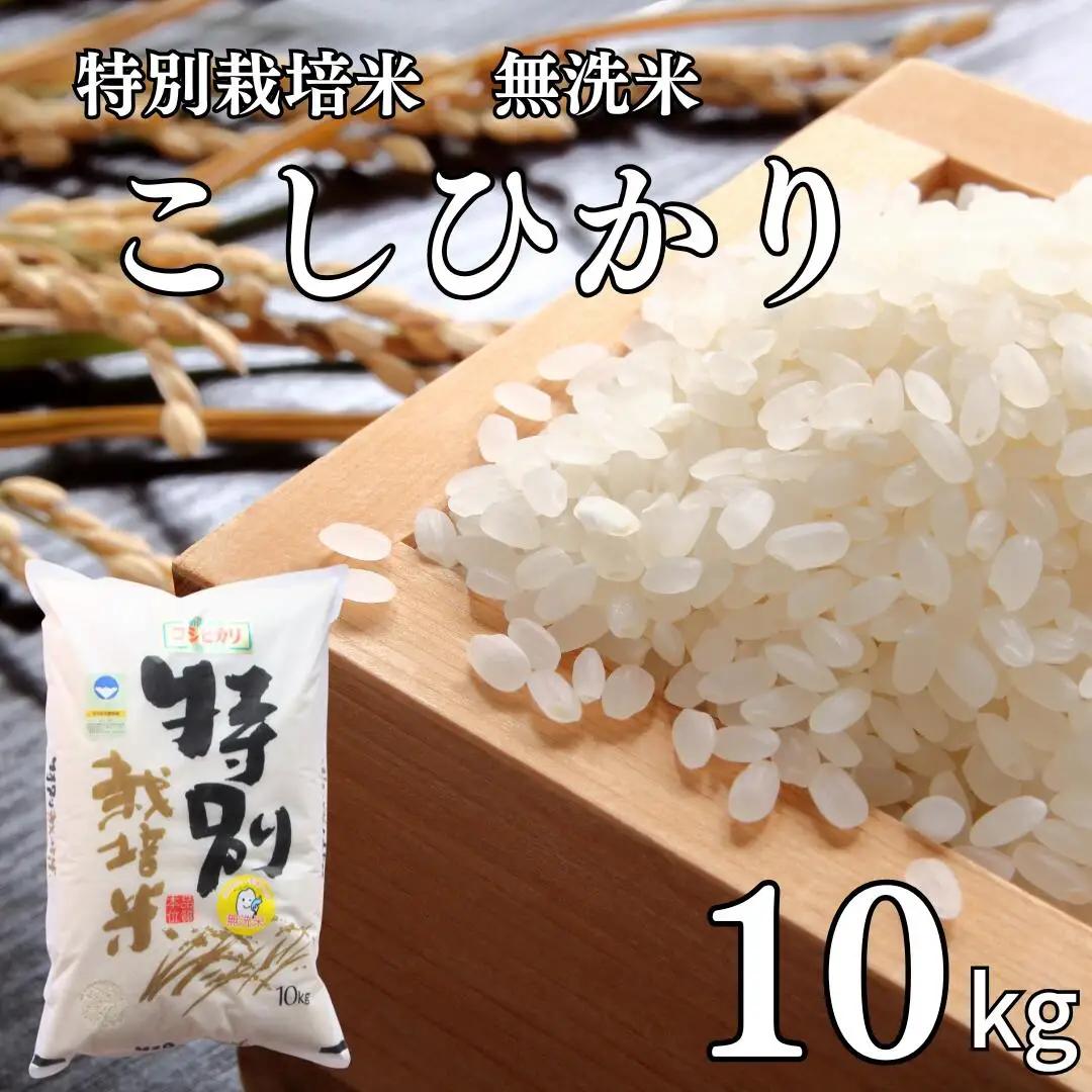 新潟県認証 特別栽培米 コシヒカリ10kg 無洗米 令和7年産 新潟県三条市産 こしひかり