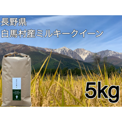 
白馬産ミルキークイーン 白米 5kg【1483813】
