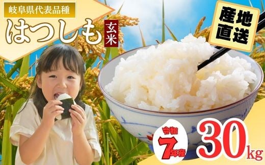 【岐阜県代表品種】令和7年産ハツシモ米 【玄米】30kg L6　【11月以降順次発送】