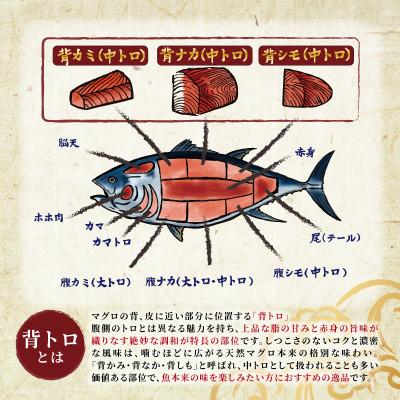 ふるさと納税 釧路町 北海道産 天然 本マグロ 背トロ 冷凍 200g × 4柵 (訳あり 筋あり) 国産の本鮪を食卓へ |  | 01
