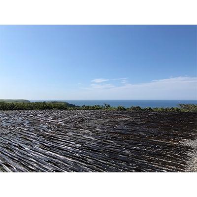 ふるさと納税 様似町 特選日高昆布×3袋セット |  | 03