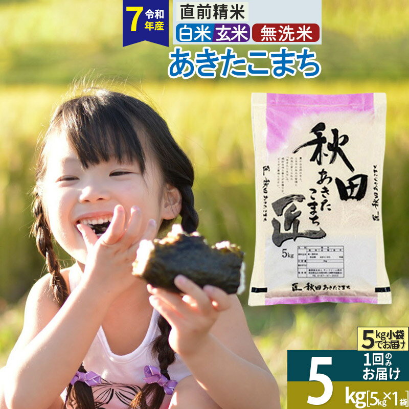 【ふるさと納税】【白米／玄米／無洗米】※R7※ 秋田県産 あきたこまち 5kg (5kg×1袋) 令和7年産 5キロ お米 匠