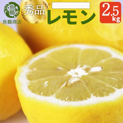 ふるさと納税 湯浅町 【先行予約】【2027年3月上旬より発送】秀品　紀州湯浅産レモン　2.5kg
