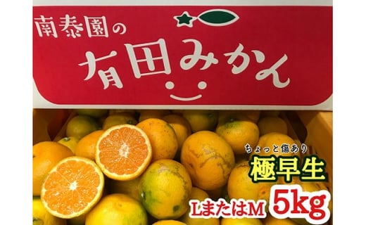 
ちょっと 傷あり 極早生 みかん 有田 L または M サイズ 5kg 南泰園
